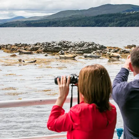 Ferienhaus Detached 3 Bedroom Just 1km From