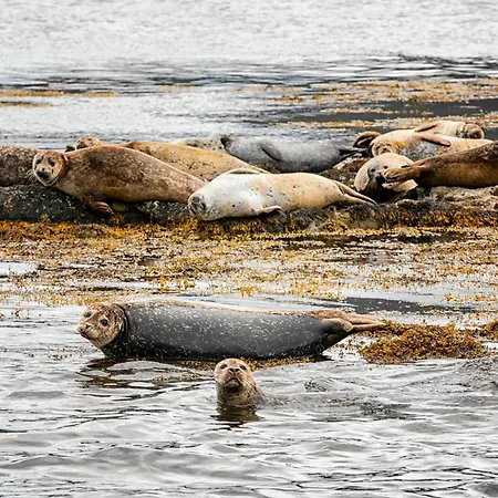 Detached 3 Bedroom Just 1km From Ferienhaus Kenmare