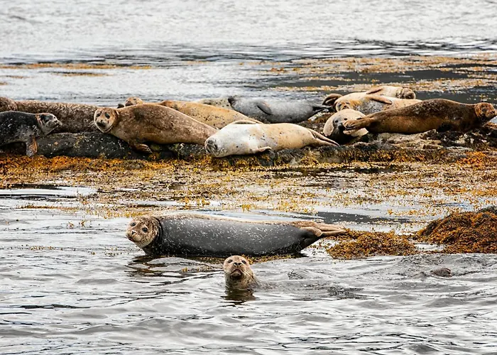 Detached 3 Bedroom Just 1km From Casa de Férias Kenmare